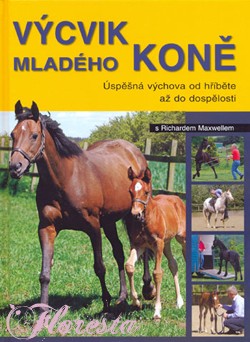 vycvik_mladeho_kone kopie