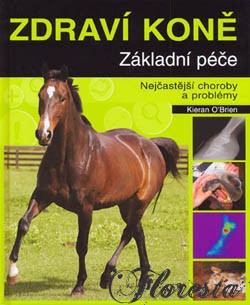 zdravi_kone kopie