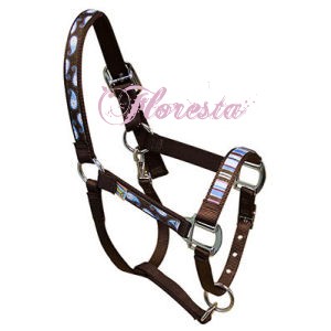 eeBrownPaisley kopie