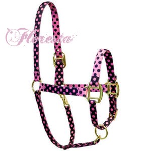hfPinkBlackPo kopie