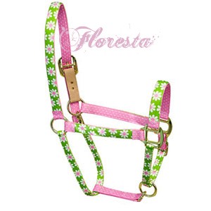 rhh_GreenDaisy_300 kopie