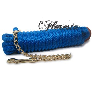 poly_lunge_royal_300 kopie